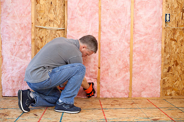 Best Energy Efficiency Solutions in Crosspointe, VA